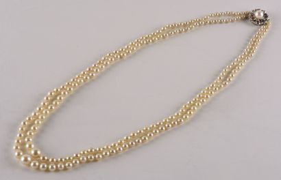 null A necklace double row of white cultured pearls in fall. 

Clasp ratchet with...
