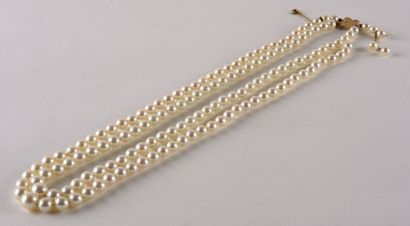 null A necklace double row of white cultured pearls in fall. 

Clasp ratchet in yellow...