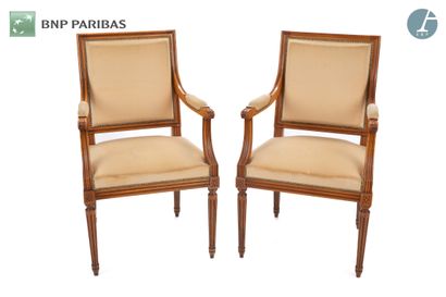 null Set of two armchairs in natural wood molded and carved, yellow and beige velvet...