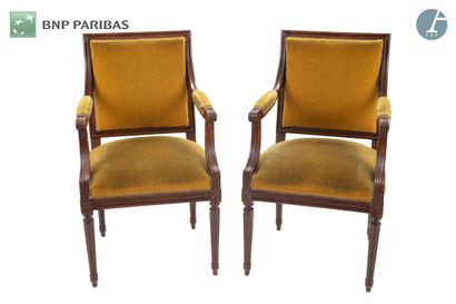 null Set of four armchairs in natural wood molded and carved. Yellow velvet upholstery....