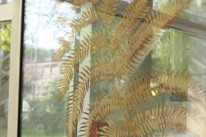 null TRAVAIL DES ANNÉES 1980/90
Fougère arborescente (Cyathea), œuvre issue d’un...