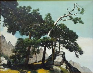 Jean THOMAS (1923-2019) Corsica - Lodgepole Pines of Bavella, oil on canvas, 92 x...