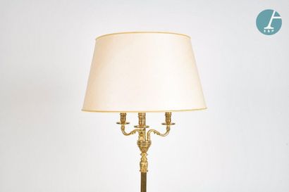 En provenance du siège de la Région Île-de-France Floor lamp with three lights in...