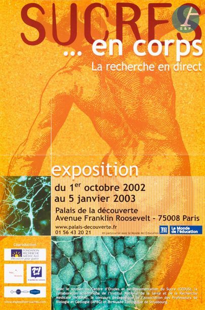 En provenance du Palais de la Découverte 
Beau lot de 11 affiches d’expositions du...