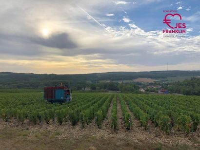 Journée découverte du vignoble Taisne Riocour et Magnum la Grande Réserve Champagne...