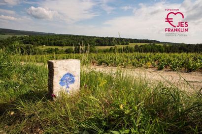 Journée découverte du vignoble Taisne Riocour et Magnum la Grande Réserve Champagne...