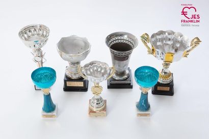 Lot de 14 coupes de récompenses sportives attribuées à des équipes franklinoises...