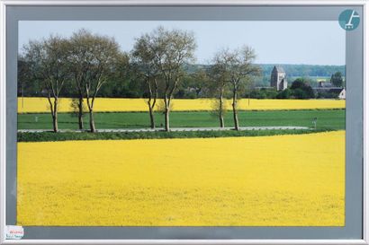 En provenance du siège d'un groupe industriel international "Champ de colza devant...