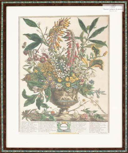 En provenance de l'Hôtel Saint James Albany "Les mois de l'année, bouquets de fleurs",...