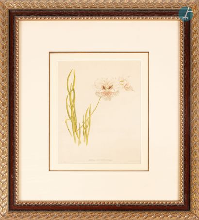 null 
From a prestigious Parisian Palace 


Set of 8 framed pieces, reproductions...