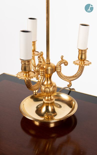 null 
From a prestigious Parisian Palace 
﻿﻿
Hot water bottle lamp in gold-plated...