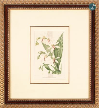 null 
From a prestigious Parisian Palace 


Set of 8 framed pieces, reproductions...
