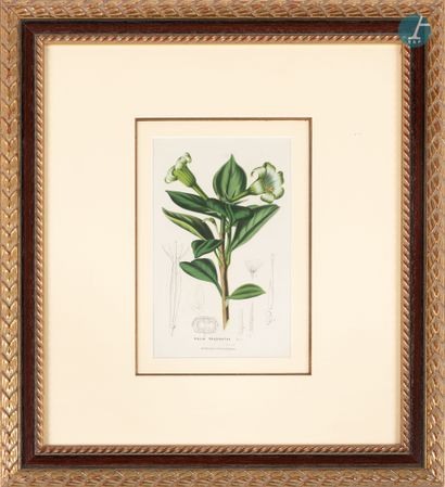 null 
From a prestigious Parisian Palace 


Important series of 14 framed pieces,...