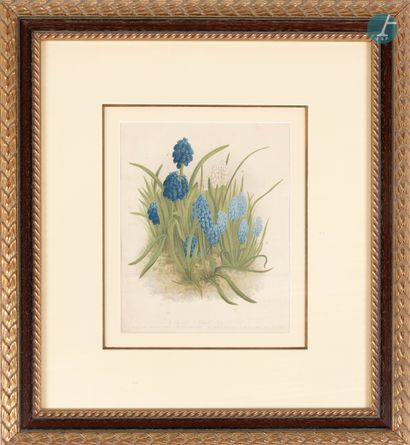null 
From a prestigious Parisian Palace 


Important series of 14 framed pieces,...