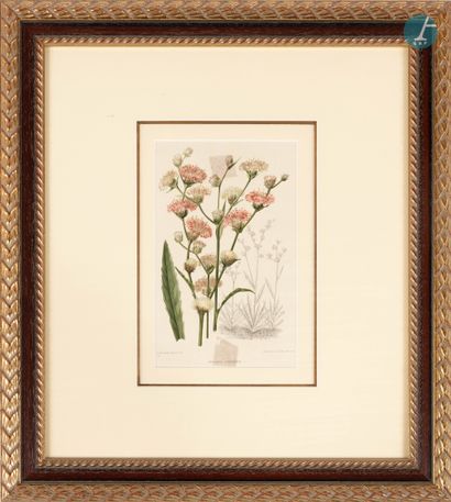 null 
From a prestigious Parisian Palace 


Important series of 14 framed pieces,...