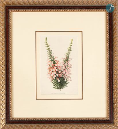 null 
From a prestigious Parisian Palace 


Important series of 14 framed pieces,...