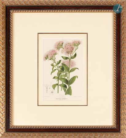 null 
From a prestigious Parisian Palace 


Important series of 14 framed pieces,...