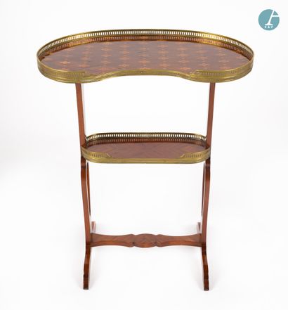 null 
En provenance d'un prestigieux Palace parisien 


Petite table rognon en bois...