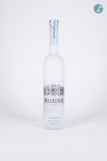 En provenance de l'ancien Hôtel W Paris-Opéra Lot of Vodkas : 
Grey Goose : 32 bottles...