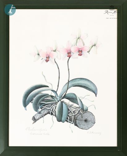 null 
Lot of fourteen framed pieces on the theme of flowers and a mirror. 


The...