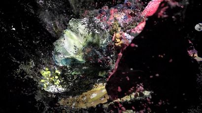 LAUREN MOFFATT 
Title Compost VIII @When Matter Becomes Art, Guerlain, private tour...