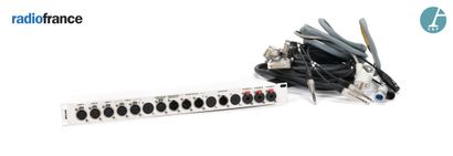 null RAMI, power strip with various cables (microphones). 

H : 4,5cm - L : 48,5cm...