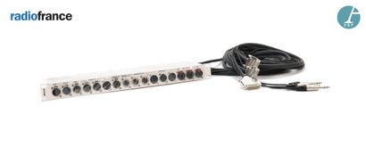 null RAMI, power strip with various cables (microphones). 

H : 4,5cm - L : 48,5cm...