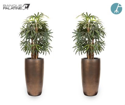 Set of two large artificial plants in their...