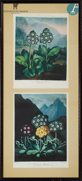  From room #12 "Le Chêne Liège 
Lot of four framed pieces "eight color plates of...