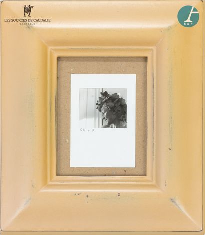 null From room n°10 "Les Acabailles

Lot of six framed pieces, including five photographic...