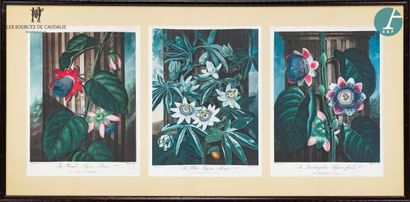 null From room #22 "Le Claret

Lot of three framed pieces: encyclopedia boards, two...