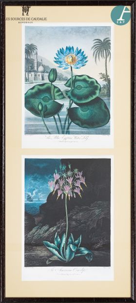  From room #12 "Le Chêne Liège 
Lot of four framed pieces "eight color plates of...