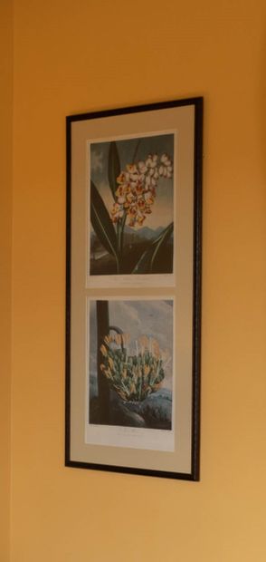 null From room #21 "Les Archipels

Lot of two framed pieces, encyclopedic boards

H...