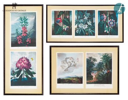 null From room #22 "Le Claret

Lot of three framed pieces: encyclopedia boards, two...