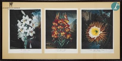 null From room #12 "Le Chêne Liège

Lot of four framed pieces "eight color plates...