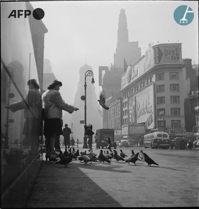 null 
AFP - Éric SCHWAB



A young woman feeds pigeons on Broadway. New York, February...