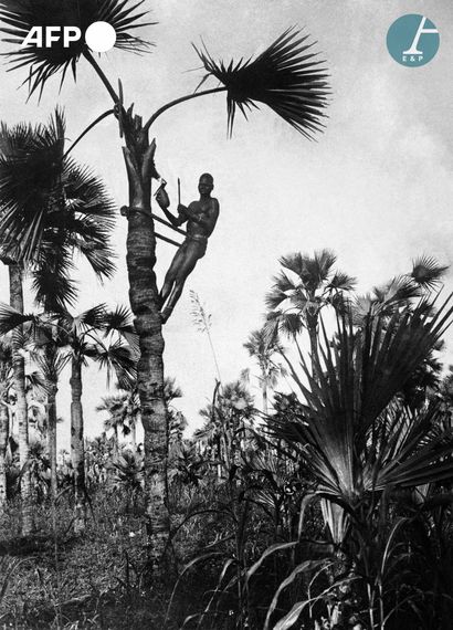 null 
AFP


Bobo tribesman picking bandji. French West Africa (AOF), n. d.
Man belonging...