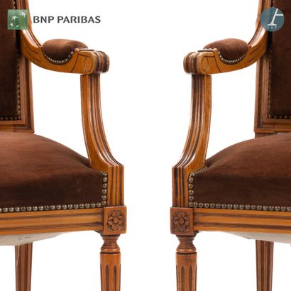 null Pair of armchairs in natural wood molded and carved. Brown velvet upholstery....