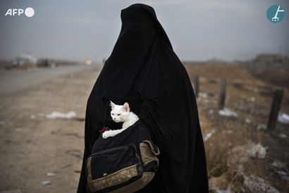 AFP - Odd Andersen
Femme irakienne déplacée...