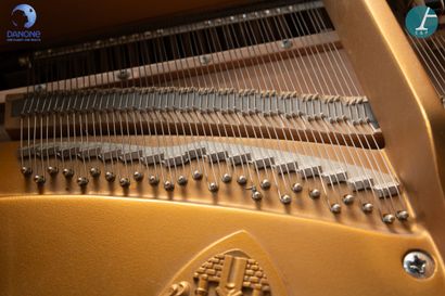 null Piano by Wilhelm STEINBERG in Eisenberg (Germany).

Quarter-tail model purchased...