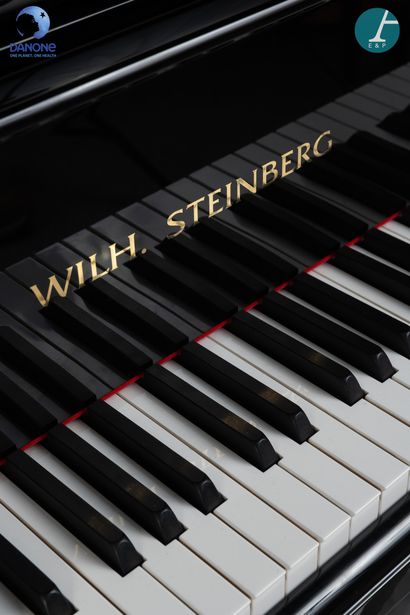 null Piano by Wilhelm STEINBERG in Eisenberg (Germany).

Quarter-tail model purchased...