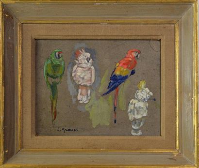 null Jean GRAVES (1897 - ?) " Etude de perroquets " Huile sur carton Signé en bas...