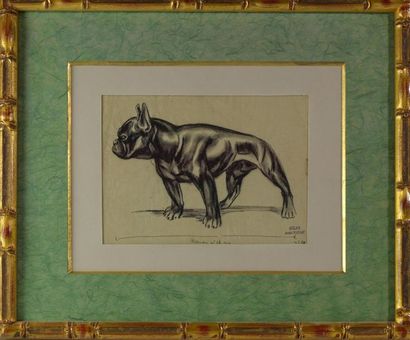 null André MARGAT (1903-1999) " Bulldog " Fusain abouti sur papier Représente probablement...