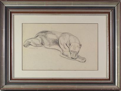 null André MARGAT (1903-1999) " Ours endormi " Beau crayon et fusain sur papier beige,...