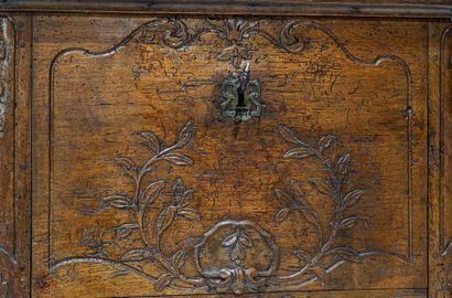 null CASE in natural wood carved with branches and a shell on the 18th century facade...