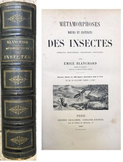 null Jean-Henri FABRE.
Souvenirs Entomologiques. Etudes sur l'Instinct et les Moeurs...