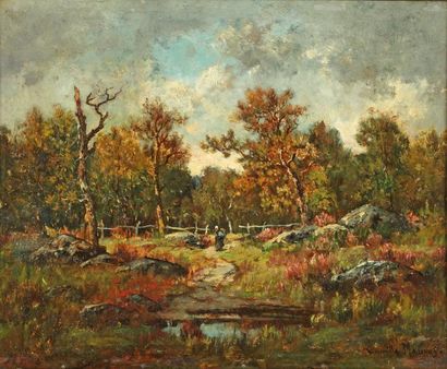 Camille MAGNUS (1850 - XXe siècle) En forêt de Fontainebleau. Huile sur panneau....