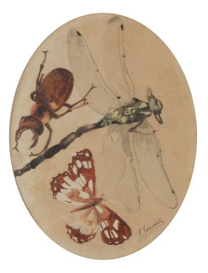 G. JONVILLE "Libellule, papillon et scarabée", Aquarelle dans un ovale, signé en...