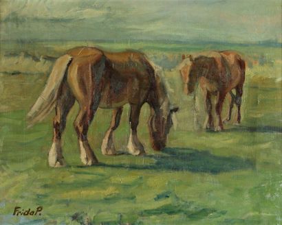 FRIDAP "Chevaux", Huile sur toile, signée en bas à gauche, 58 x 73 cm