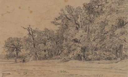 JACQUE Charles (1813-1897) « Lisière de forêt à Fontainebleau » Dessin à la pierre...